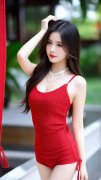 新严沉违的规律、组织规律、清廉糊口规