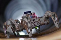 <strong>继续逃逐科研</strong>